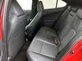 Lexus UX 250h Luxury Line | Lederen Bekleding | Stoelverwarming Rouge - thumbnail 17
