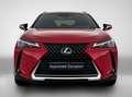 Lexus UX 250h Luxury Line | Lederen Bekleding | Stoelverwarming Rouge - thumbnail 21