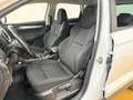 Skoda Karoq 2,0 TDI Ambition Weiß - thumbnail 5