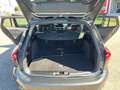 Ford Focus Focus Traveller 1,0 EcoBoost ST-Line X Grau - thumbnail 39