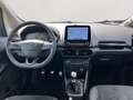 Ford EcoSport ST-Line 1.0 EcoBoost SHZ LenkradHZG Bang&Olufsen K Grau - thumbnail 10