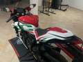 MV Agusta F3 tricolore - thumbnail 6