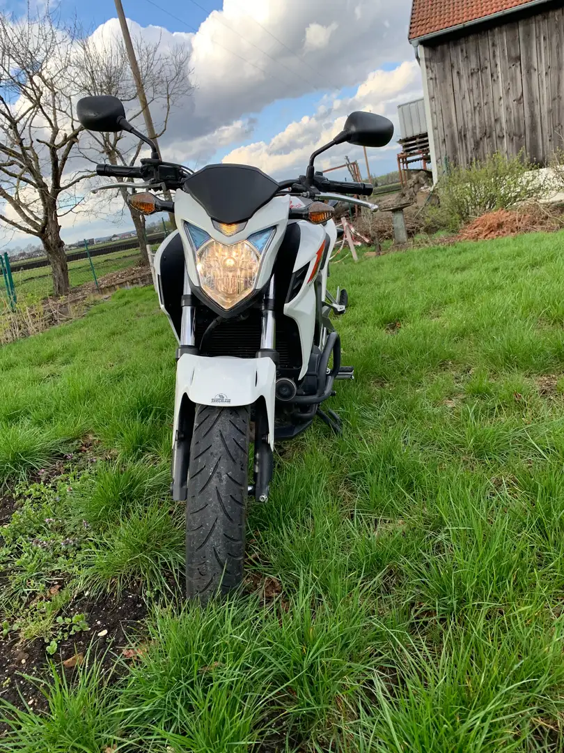 Honda CB 500 White - 1