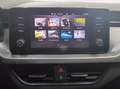 Skoda Kamiq 1.0 tsi ambition 110cv Azul - thumbnail 16
