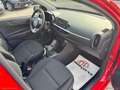 Kia Picanto PICANTO 1.0 69CV GPL 5P. Rosso - thumbnail 11