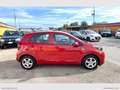 Kia Picanto PICANTO 1.0 69CV GPL 5P. Rosso - thumbnail 4