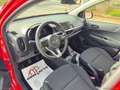 Kia Picanto PICANTO 1.0 69CV GPL 5P. Rot - thumbnail 10