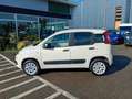 Fiat Panda 0.9 t.air t. natural power Easy 80 CV Blanc - thumbnail 5