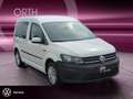 Volkswagen Caddy 1.0 TSI Trend ALPINE+APPLE+SHZ+KLIMA+PDC Blanc - thumbnail 2