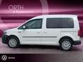 Volkswagen Caddy 1.0 TSI Trend ALPINE+APPLE+SHZ+KLIMA+PDC Blanc - thumbnail 5