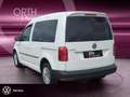 Volkswagen Caddy 1.0 TSI Trend ALPINE+APPLE+SHZ+KLIMA+PDC Blanc - thumbnail 8