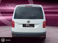 Volkswagen Caddy 1.0 TSI Trend ALPINE+APPLE+SHZ+KLIMA+PDC Blanc - thumbnail 4