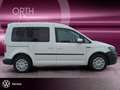 Volkswagen Caddy 1.0 TSI Trend ALPINE+APPLE+SHZ+KLIMA+PDC Blanc - thumbnail 6