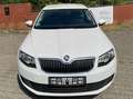 Skoda Octavia Active // Fehlermeldung Export, Händler Bastler Blanc - thumbnail 2
