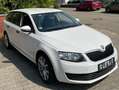 Skoda Octavia Active // Fehlermeldung Export, Händler Bastler Blanc - thumbnail 3