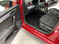 SEAT Ibiza FR 1.0 TSI PDC RFK Panoramadach SHZ Rot - thumbnail 13