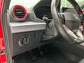 SEAT Ibiza FR 1.0 TSI PDC RFK Panoramadach SHZ Rot - thumbnail 14