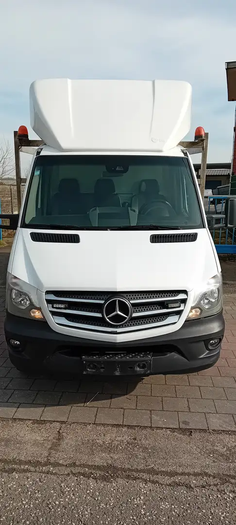 Mercedes-Benz Sprinter 516CDI-MAXI-NAVI-CLIMA-3500Kg-AUTOMATIQ Blanc - 2