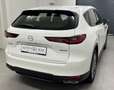 Mazda CX-60 3.3L e-SKYACTIV D EXC-LINE *MwSt*LED*Tempomat* Weiß - thumbnail 5