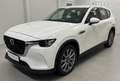 Mazda CX-60 3.3L e-SKYACTIV D EXC-LINE *MwSt*LED*Tempomat* Weiß - thumbnail 11