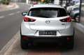 Mazda CX-3 2.0 Autom. Exclusiv-Line Rentner Erstbesitz Weiß - thumbnail 7