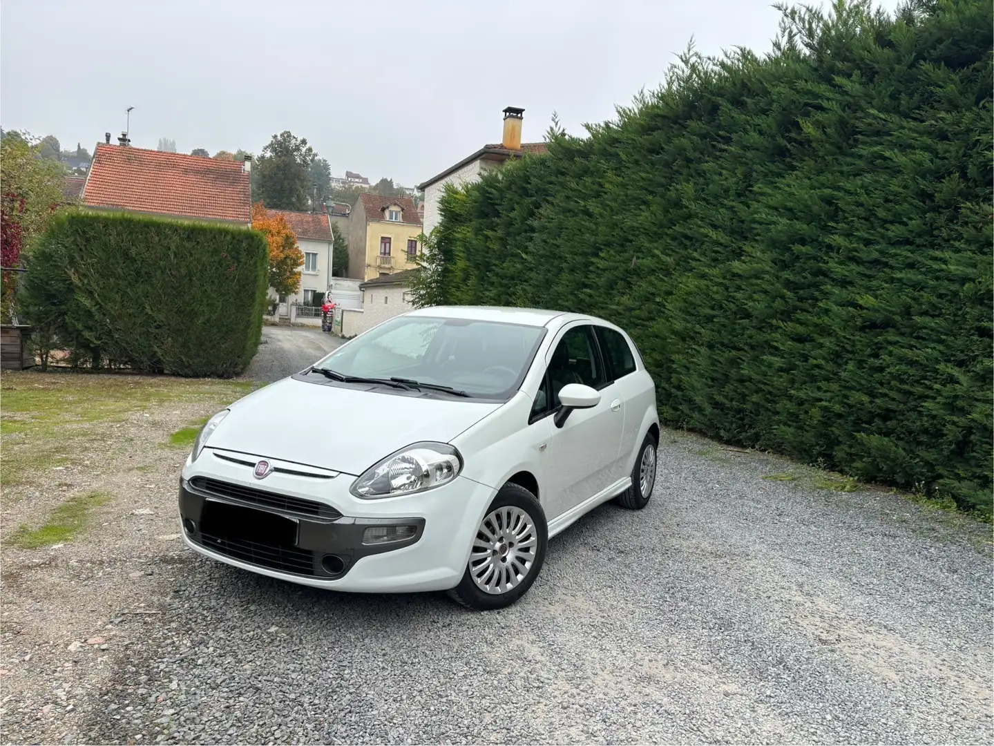 Fiat Punto Evo 1.3 Multijet 16V 85 S&S DPF 95g Dynamic - 1