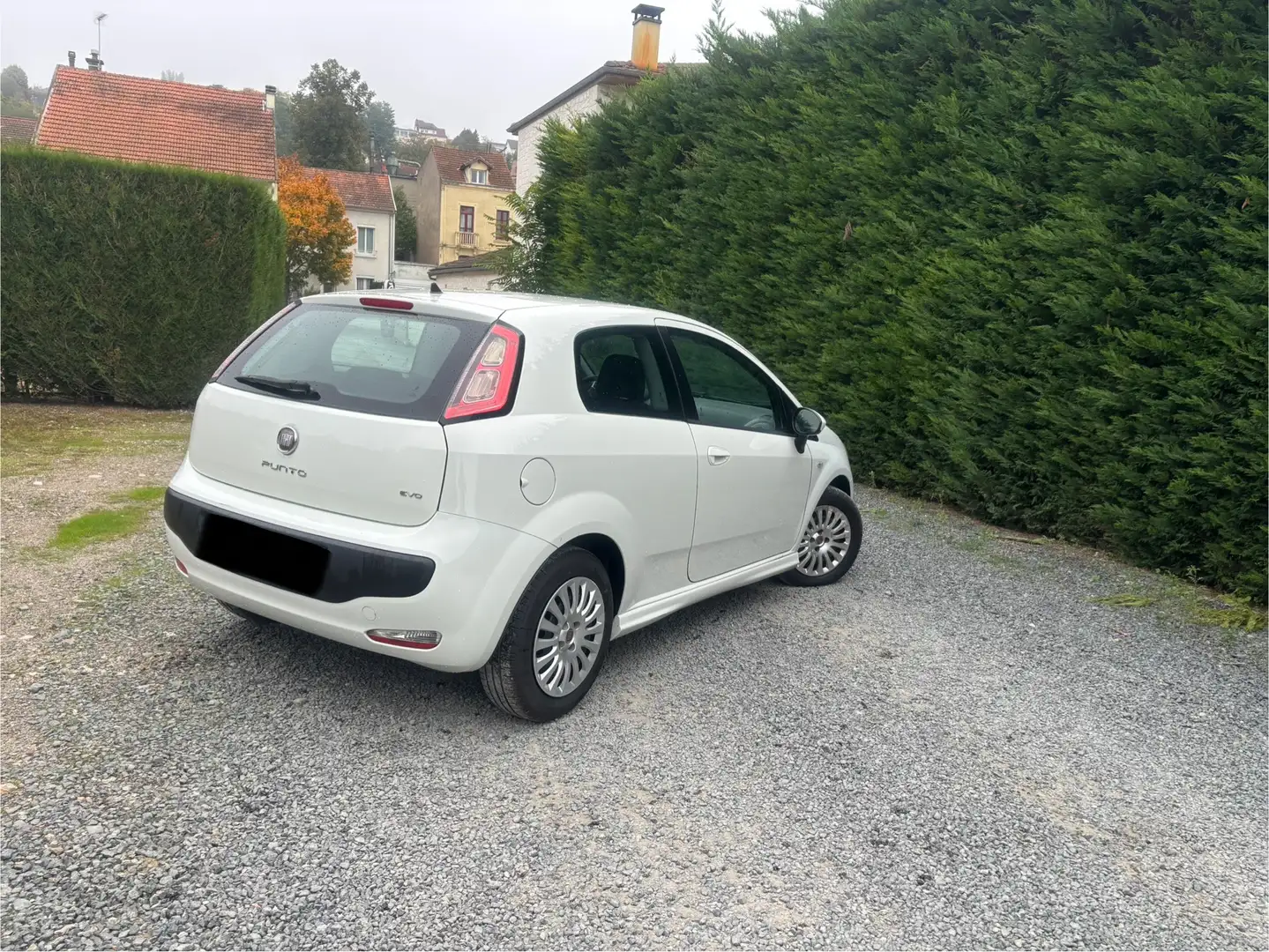 Fiat Punto Evo 1.3 Multijet 16V 85 S&S DPF 95g Dynamic - 2