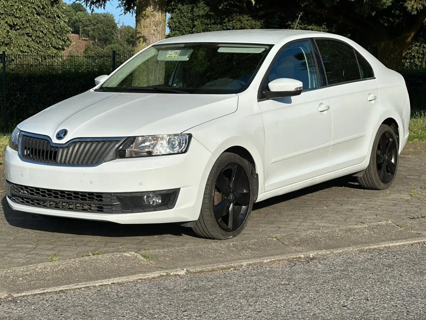Skoda Rapid/Spaceback Rapid Spaceback 1.4 TDI 90 ch CR FAP GreenTec BVM5 - 2