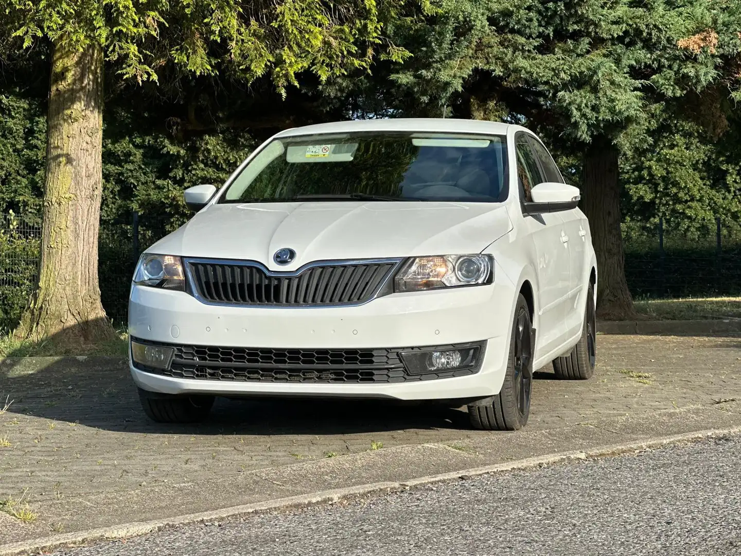 Skoda Rapid/Spaceback Rapid Spaceback 1.4 TDI 90 ch CR FAP GreenTec BVM5 - 1