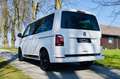 Volkswagen T6 Multivan Edition 2,0 TDI BMT DSG - thumbnail 20