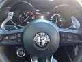 Alfa Romeo Stelvio 2.2 Turbodiesel 210 CV AT8 Q4 Veloce Zwart - thumbnail 18