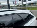 Mercedes-Benz E 300 de 4matic * AMG Line * Weiß - thumbnail 19