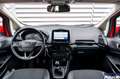 Ford EcoSport EcoSport 1.0 ecoboost Titanium s&s 125cv my20.25 - thumbnail 10