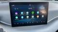 BYD Dolphin Surf Boost Link ACC Keyless Navi Kamera Bleu - thumbnail 17