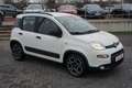 Fiat Panda 1.0 M-Hybrid City Life Klima PDC Bluetooth Weiß - thumbnail 4