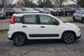 Fiat Panda 1.0 M-Hybrid City Life Klima PDC Bluetooth Weiß - thumbnail 5