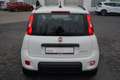 Fiat Panda 1.0 M-Hybrid City Life Klima PDC Bluetooth Weiß - thumbnail 8