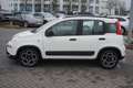 Fiat Panda 1.0 M-Hybrid City Life Klima PDC Bluetooth Weiß - thumbnail 7
