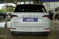 Skoda Karoq Sportline 1,5TSI DSG 4*J.Gar/Pano/aAHK/Matrix/Navi Білий - thumbnail 5