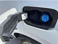 Renault Kangoo Profesional Blue dCi 70kW (95CV) Blanco - thumbnail 19