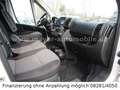Fiat Ducato Luxusbus Panorama L2H2*9-Sitze*Kamera*DAB Blanc - thumbnail 13