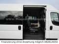Fiat Ducato Luxusbus Panorama L2H2*9-Sitze*Kamera*DAB Blanc - thumbnail 15
