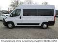 Fiat Ducato Luxusbus Panorama L2H2*9-Sitze*Kamera*DAB Blanc - thumbnail 6
