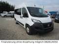 Fiat Ducato Luxusbus Panorama L2H2*9-Sitze*Kamera*DAB Blanc - thumbnail 1