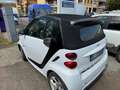 smart forTwo Fortwo Cabrio 1.0 mhd Pulse 71cv FL Bianco - thumbnail 4