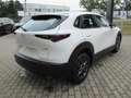 Mazda 2 025 Mazda CX-30 5WGN 2.5L e-SKYACTIV G 140 6MT FWD Blanc - thumbnail 8