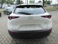 Mazda 2 025 Mazda CX-30 5WGN 2.5L e-SKYACTIV G 140 6MT FWD Blanc - thumbnail 6