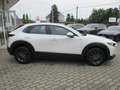 Mazda 2 025 Mazda CX-30 5WGN 2.5L e-SKYACTIV G 140 6MT FWD Blanc - thumbnail 9