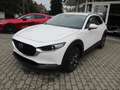 Mazda 2 025 Mazda CX-30 5WGN 2.5L e-SKYACTIV G 140 6MT FWD Blanc - thumbnail 3