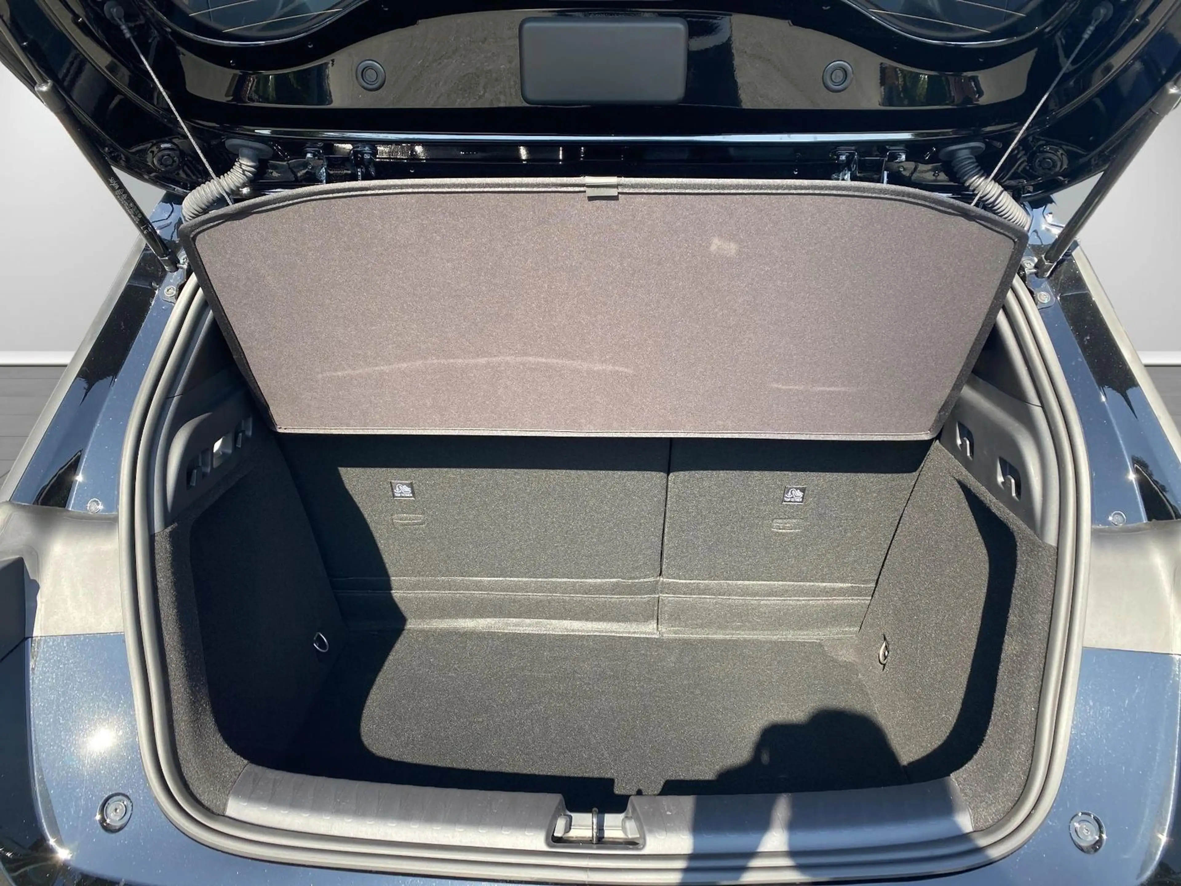 BYD Dolphin G DM-i Comfort — photo 5